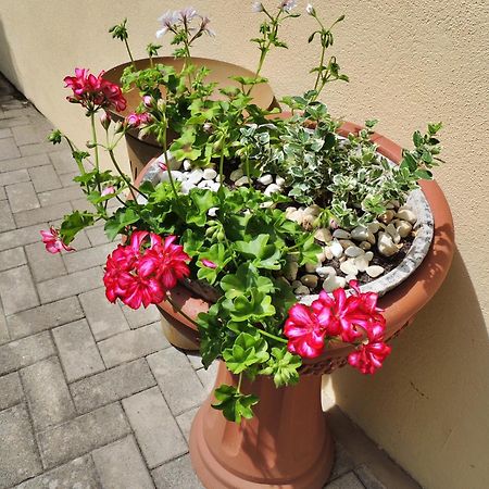 Ferienwohnung Goethe Bernkastel-Kues Zewnętrze zdjęcie