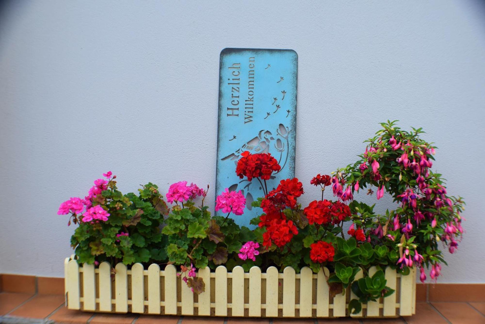 Ferienwohnung Goethe Bernkastel-Kues Zewnętrze zdjęcie