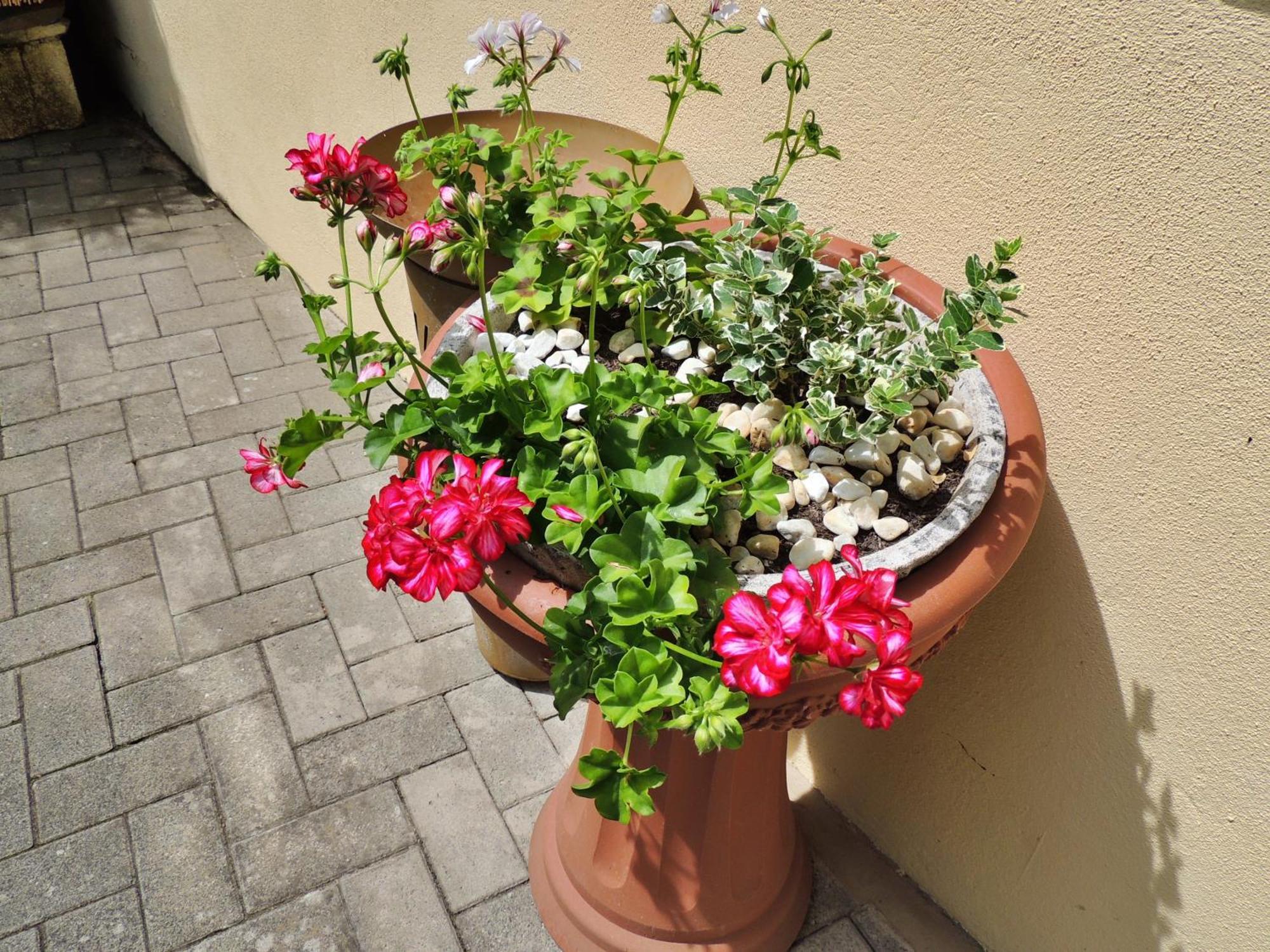 Ferienwohnung Goethe Bernkastel-Kues Zewnętrze zdjęcie